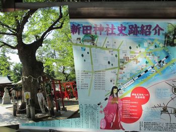 神社といえば御神木、新田神社（東京・大田区）にある樹齢700年のケヤキの木