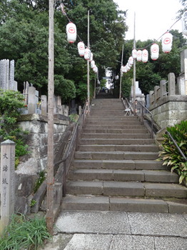 池上本門寺に繋がる階段。すでにお会式用の提灯が飾ってあります