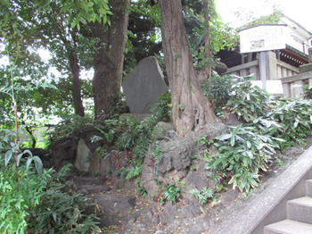 居木橋遺跡と富士塚付近