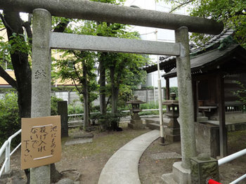 磐井神社2.jpg